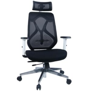 Rothwell Ergonomic Mesh Back Office Chair With Adjustable Arms and Headrest - Black and White - Image 1